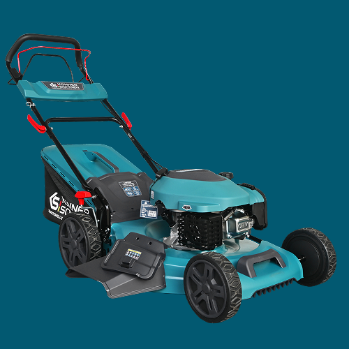 Forma del Deck Innovativa