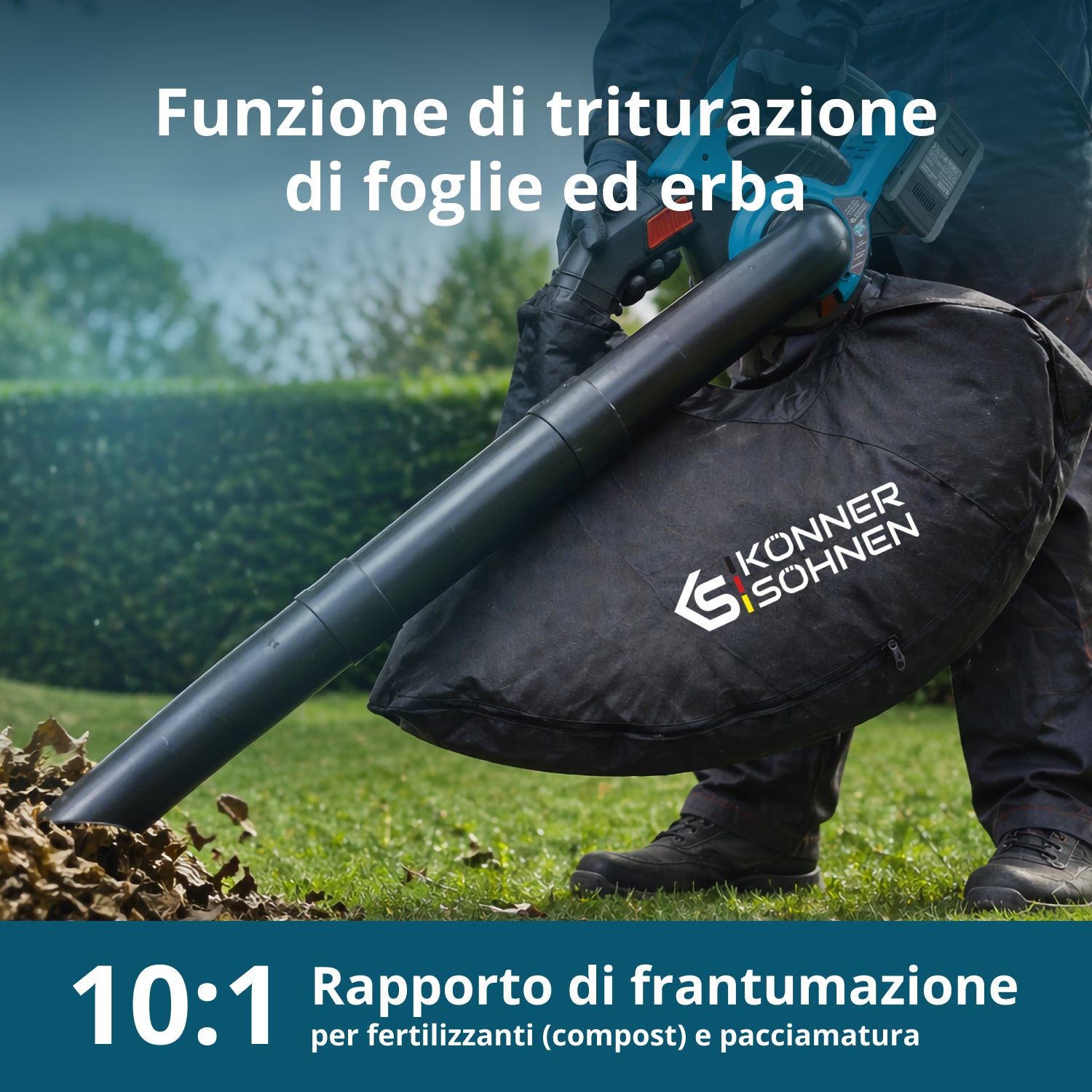 Set Promozionale Tagliasiepi KS LBV-HT-SET