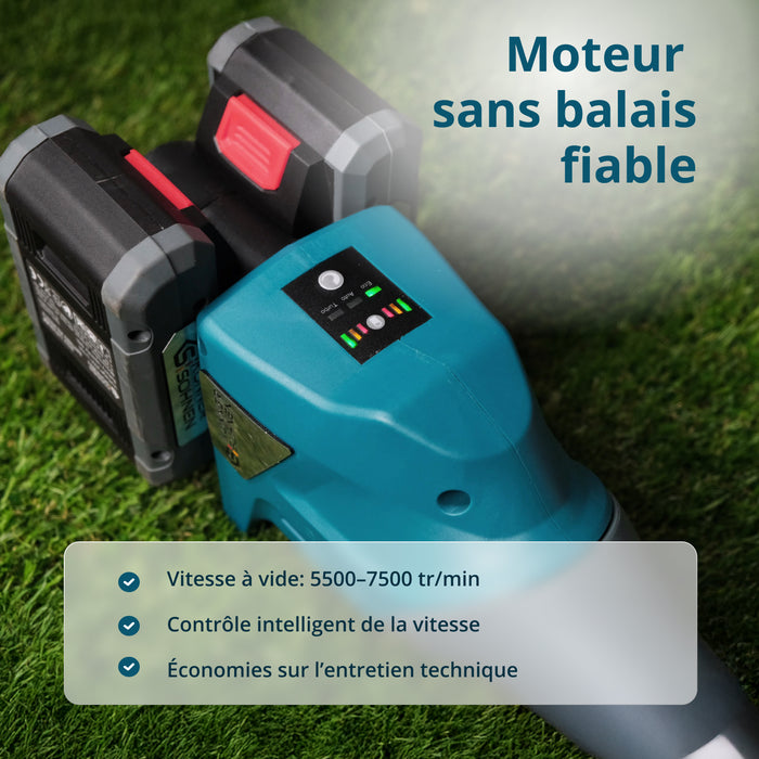 Kit promotionnel de soin du gazon KS 43LM-BCT40V-SET