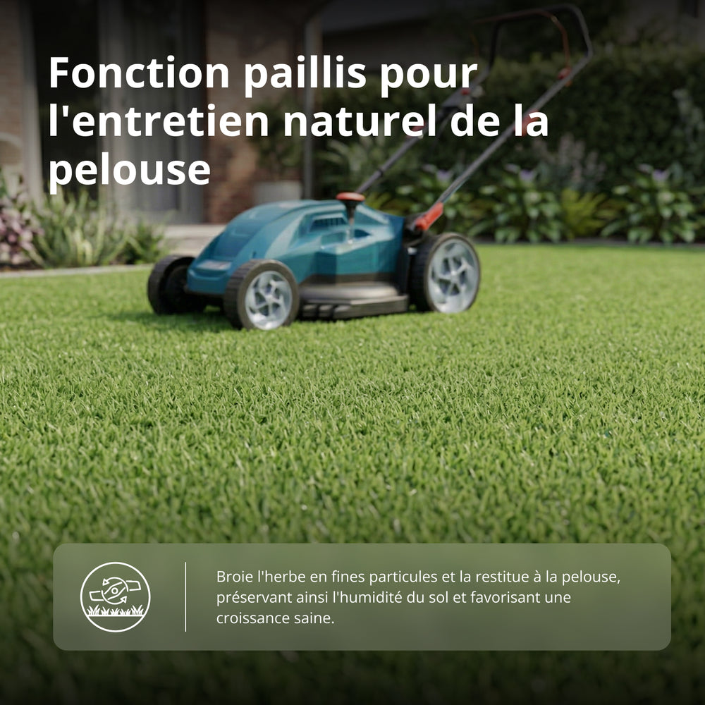 Tondeuse électrique KS 43LM20